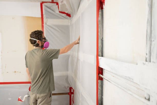 Reliable West Haven, UT Mold Removal Solutions