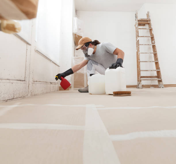 Best Emergency Mold Remediation  in West Haven, UT